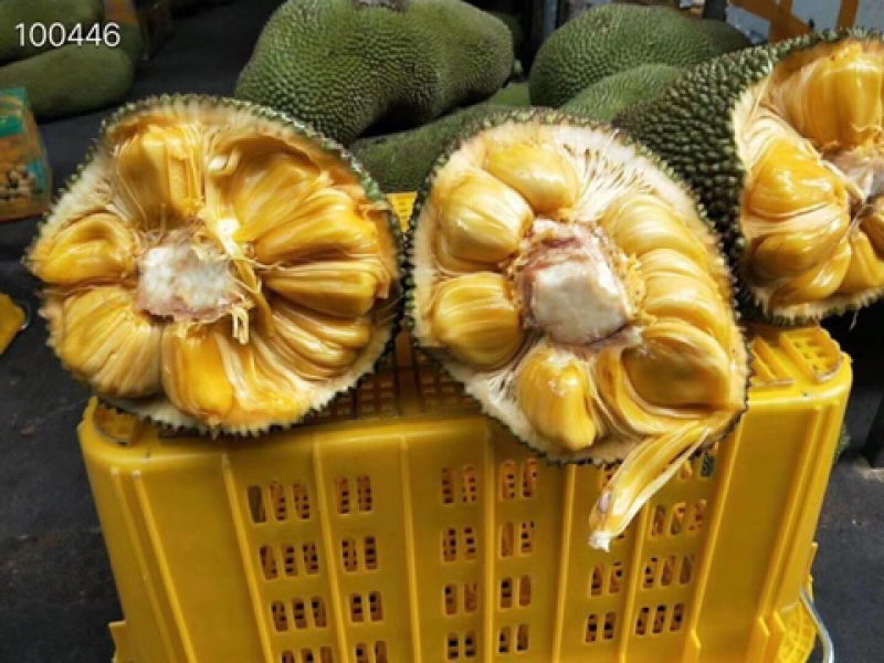 海南菠萝蜜马来一号新鲜水果支持平台对接一件代发批发