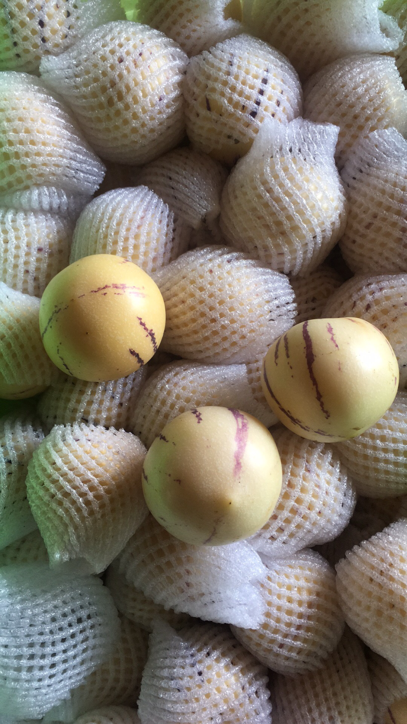 人参果