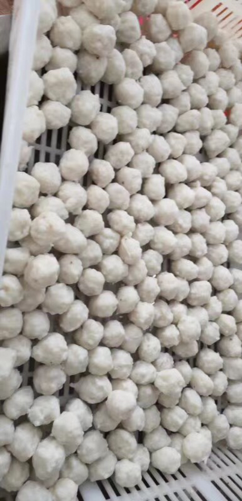 墨鱼丸