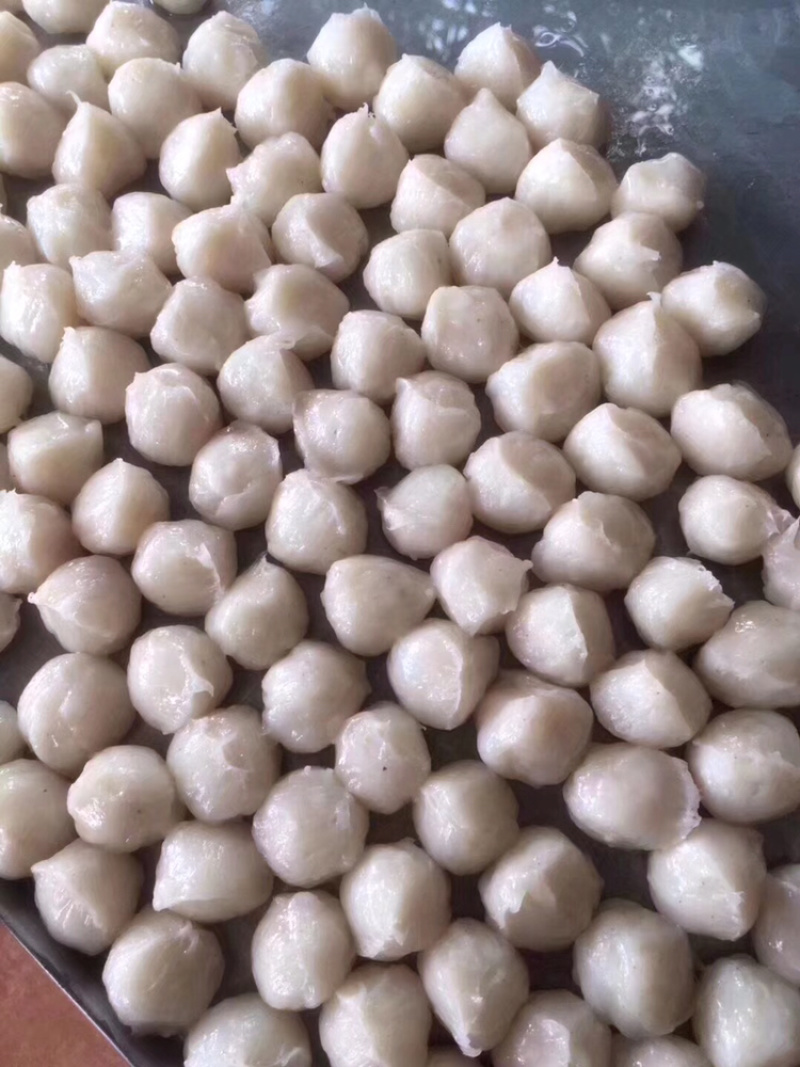 墨鱼丸