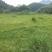 山地