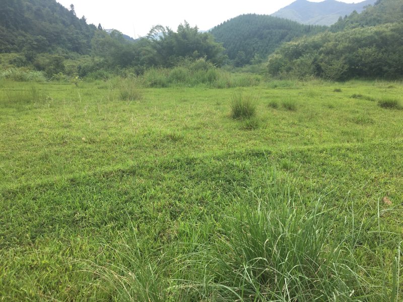 山地