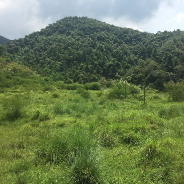 山地
