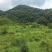 山地