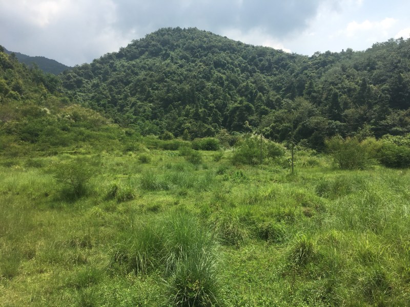 山地