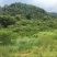 山地