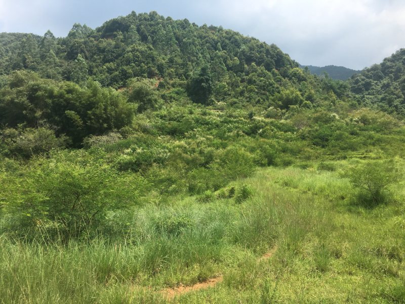 山地