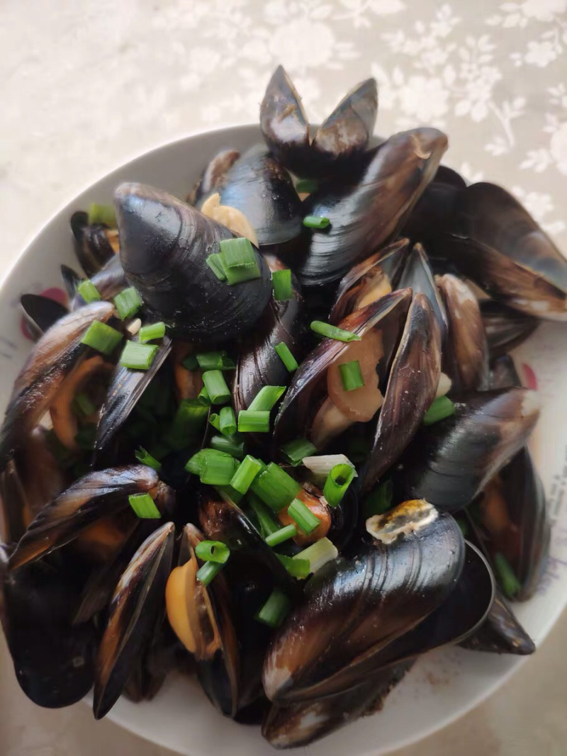 青口贝青口贝鲜活新鲜海虹贻贝海鲜水产贝类淡菜烧