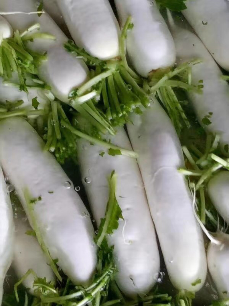 极品白萝卜，价低！