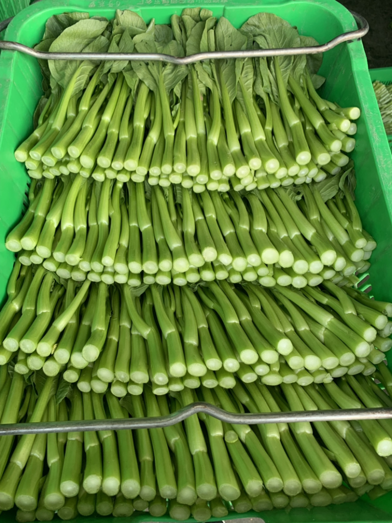 菜心