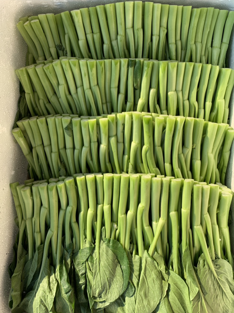菜心