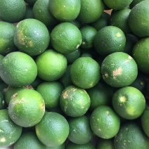 香橼果，药材，化妆品材