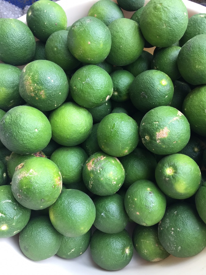香橼果，药材，化妆品材