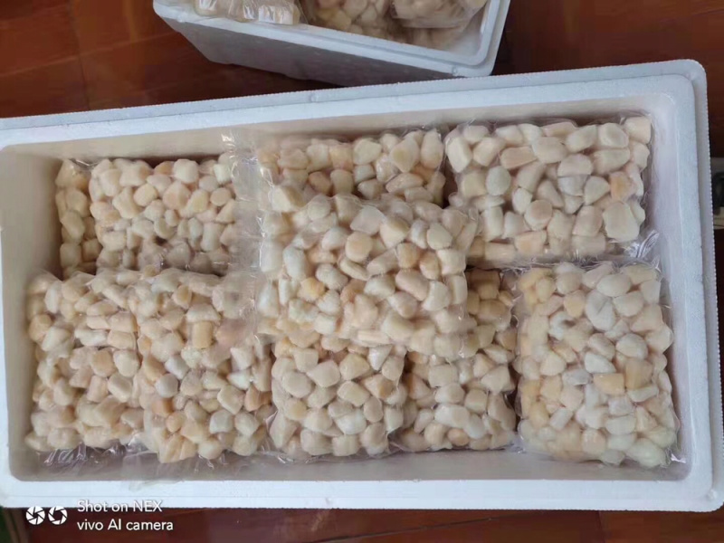 单冻扇贝柱（丁）一包一斤厂家大量批发