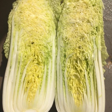 娃娃菜
