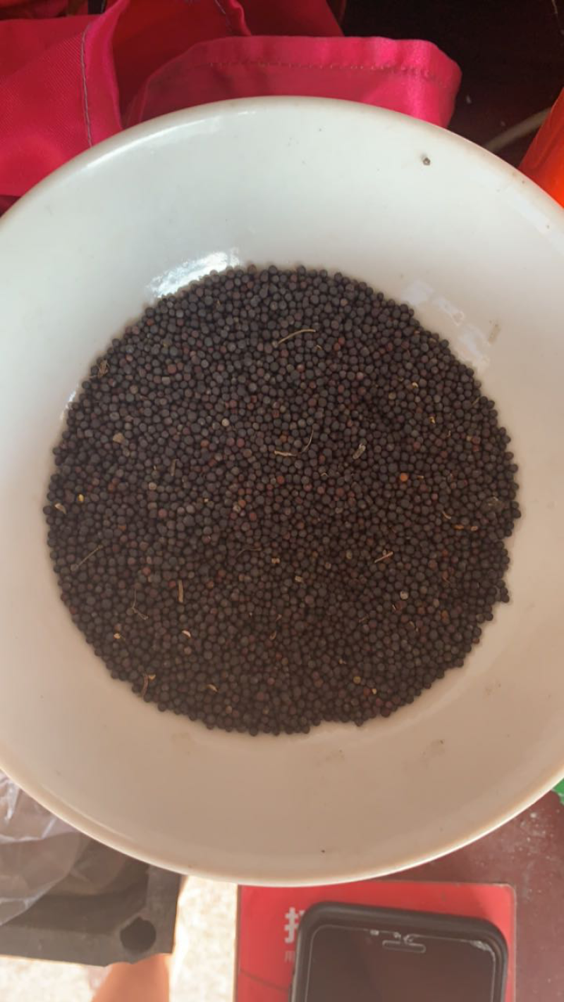 粮油作物