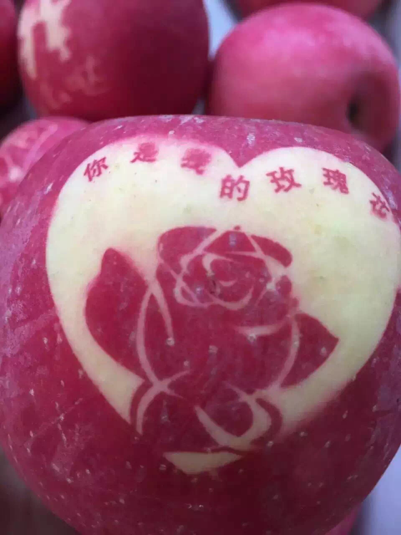 散装带字苹果富士苹果字帖苹果每卷一千贴水晶富士
