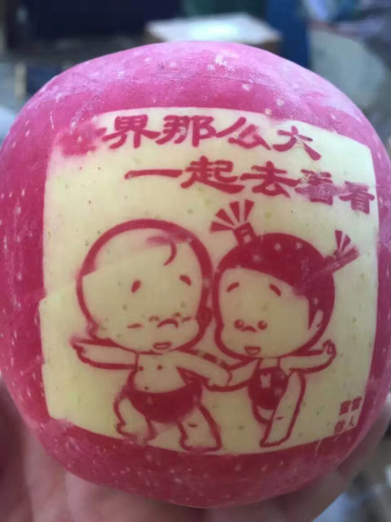 散装带字苹果富士苹果字帖苹果每卷一千贴水晶富士
