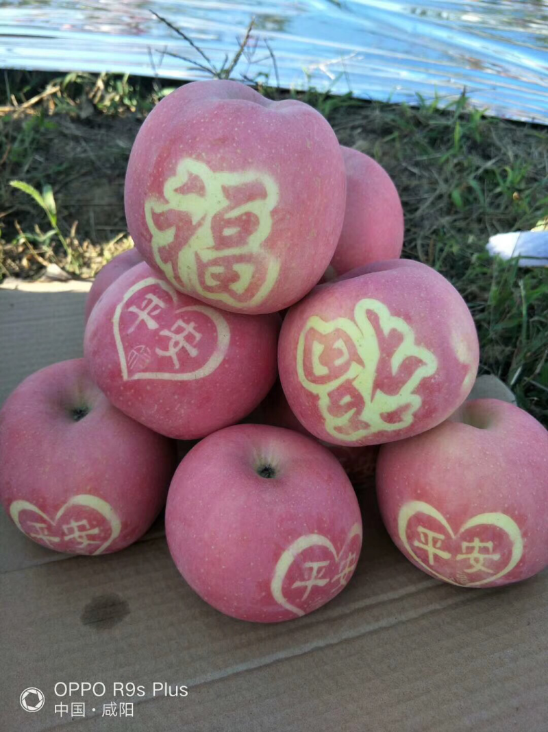 散装带字苹果富士苹果字帖苹果每卷一千贴水晶富士