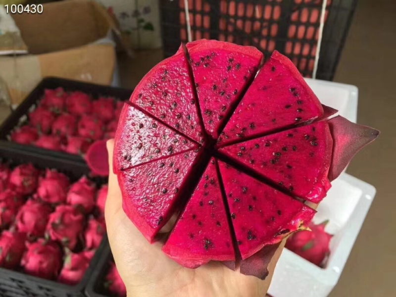 越南新鲜红心火龙果，进口孕妇水果