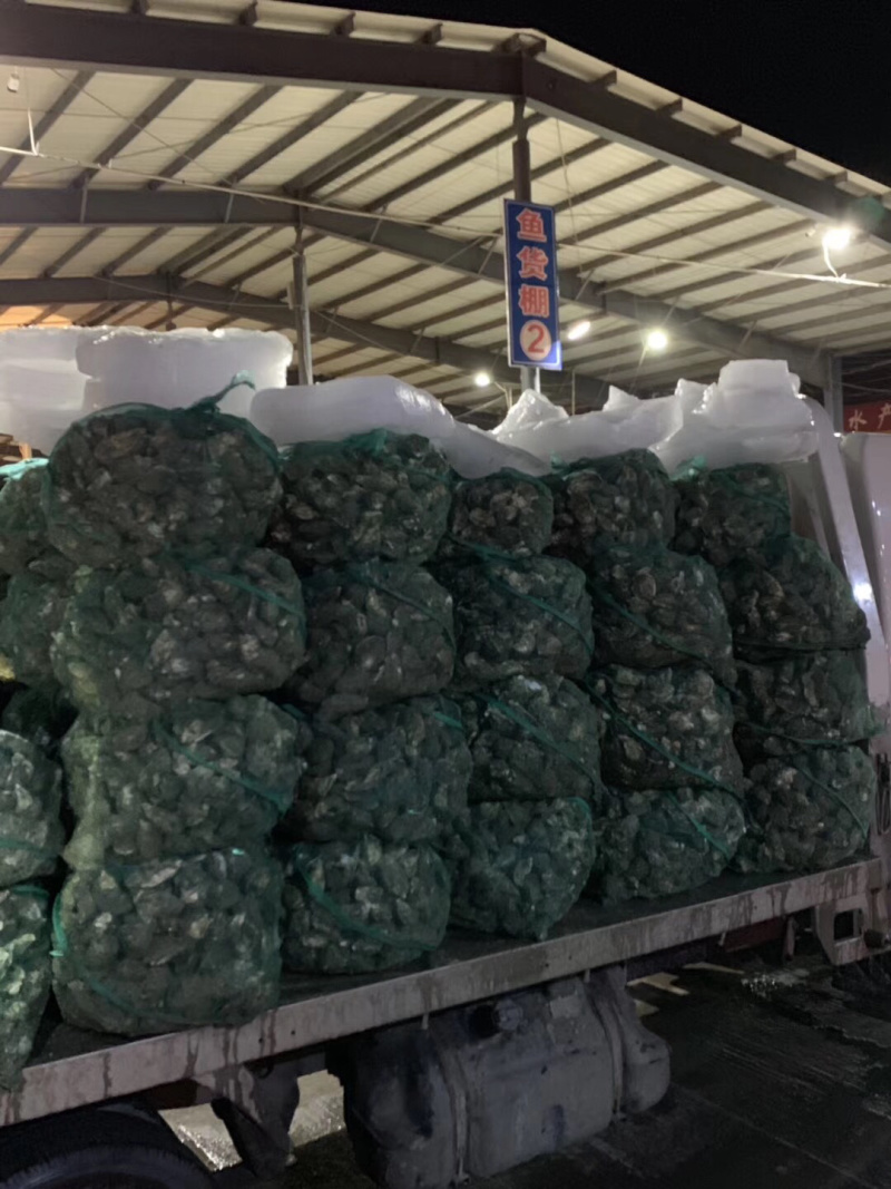 新鲜生蚝鲜活新鲜牡蛎即食海蛎子海鲜水产鲜活打包发货