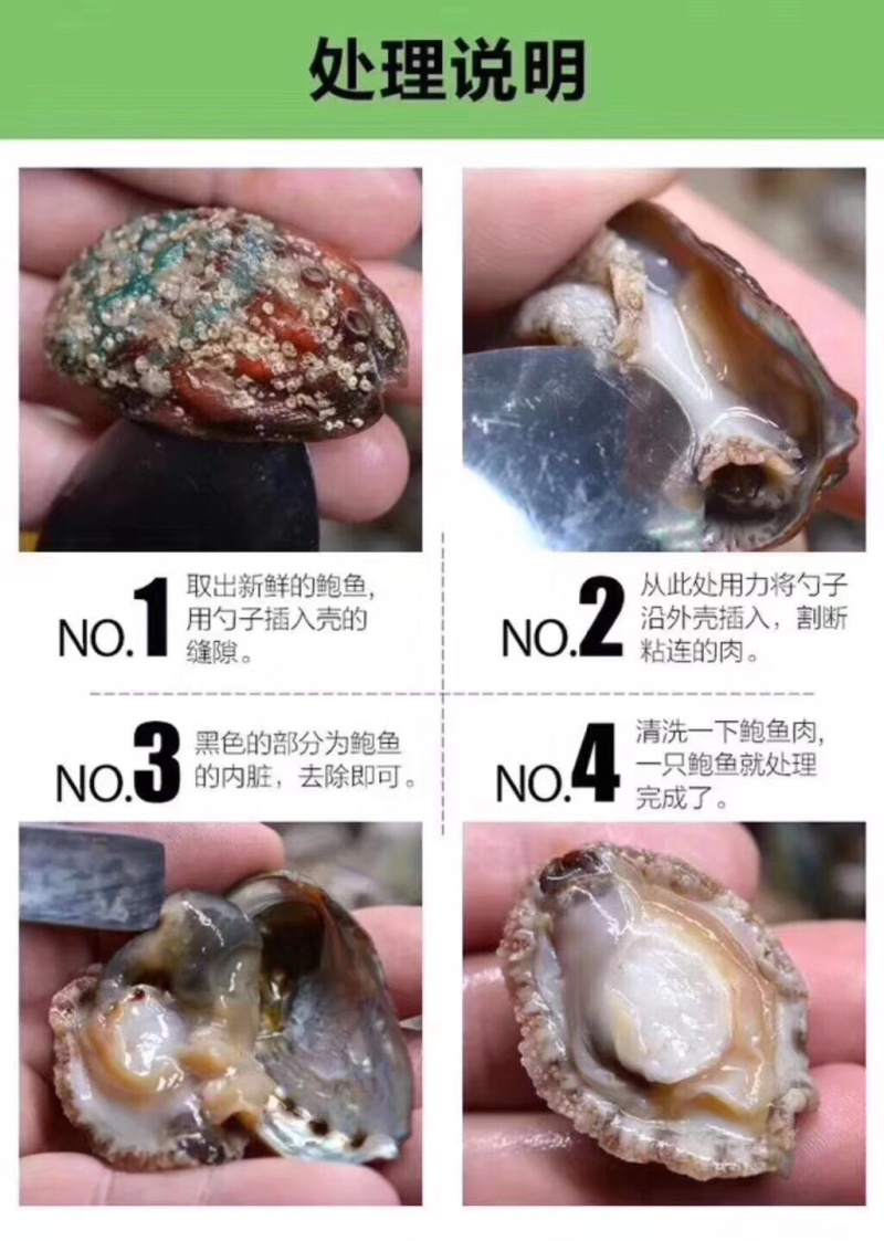 新鲜鲍鱼海鲜水产鲜活鲍鱼大个头生鲜海产品烧烤