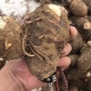 董辰超的一亩田店铺