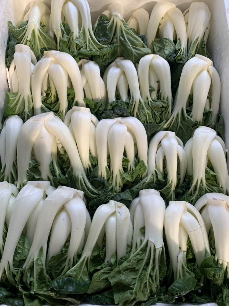 奶白菜