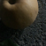 晚秋黄梨