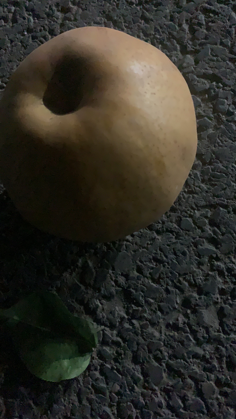 晚秋黄梨