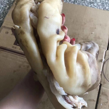熟牛蹄筋