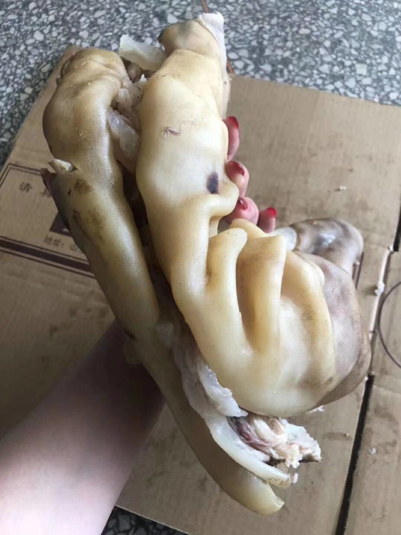 熟牛蹄筋
