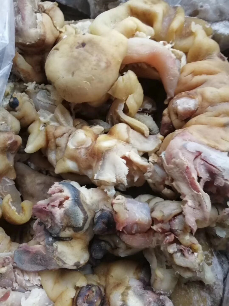 熟牛蹄筋