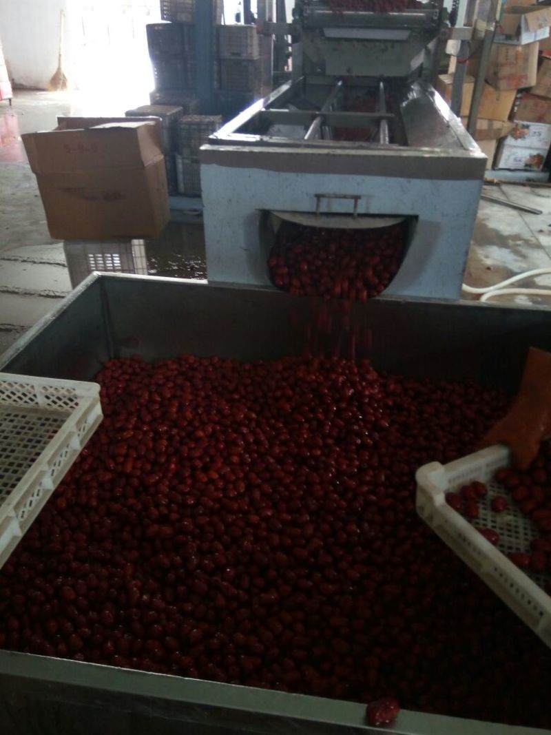 若羌红枣一级干枣核小肉质饱满厂家直发没有中间商