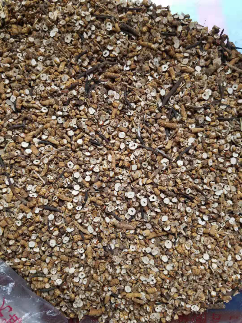 冬虫夏草精选碎肉节自用打粉特别实惠全国顺丰包邮