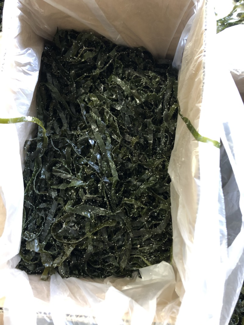 海带头