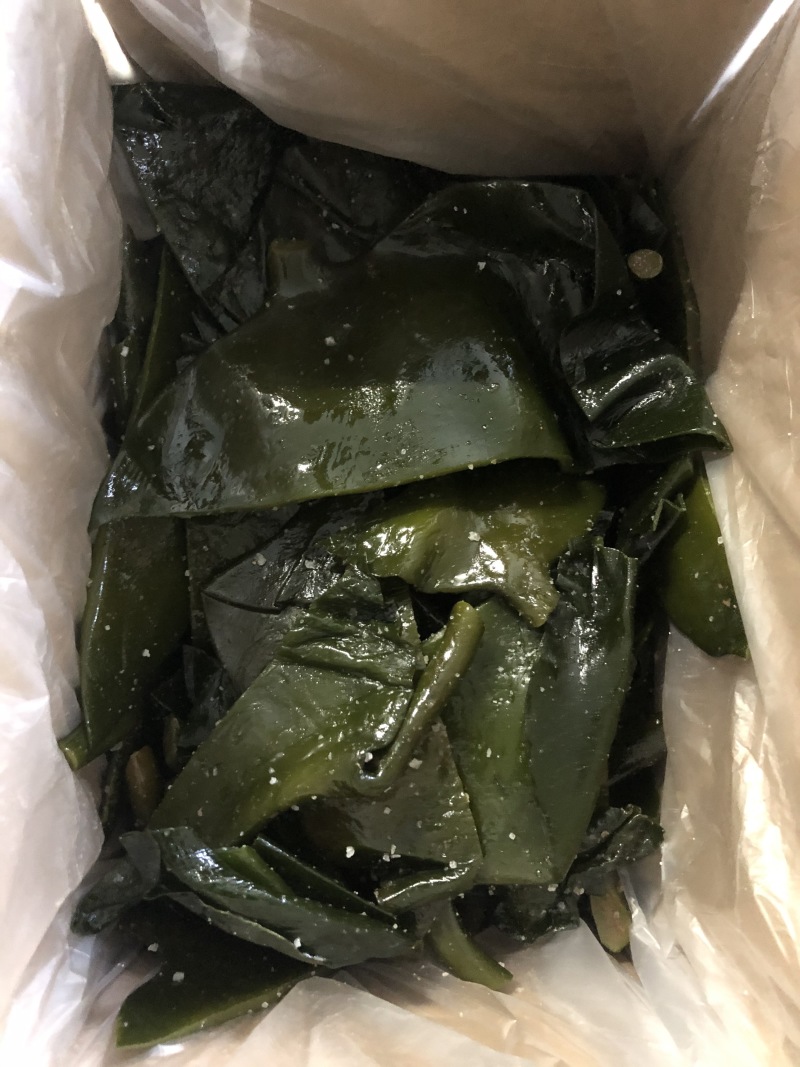 海带头
