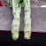 棒菜量大质量好做工精细