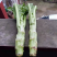 棒菜量大质量好做工精细