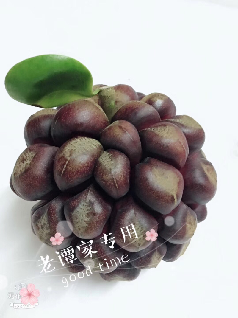 黑老虎现货