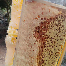 出售纯天然成熟蜂蜜