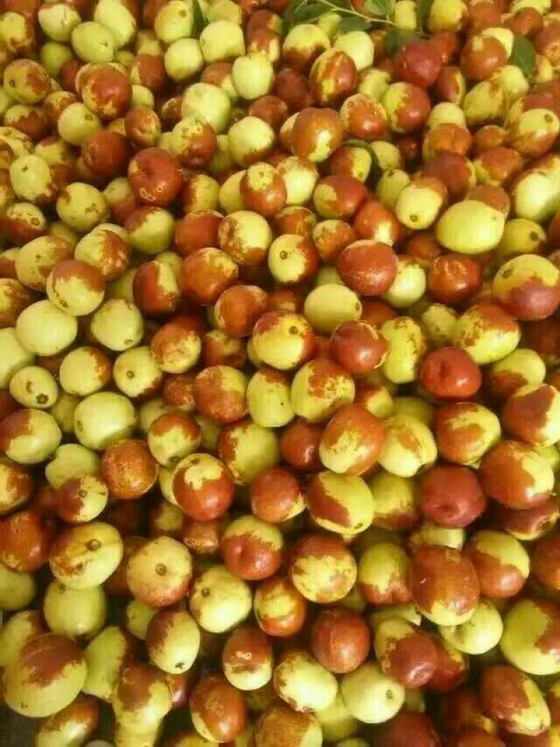 梨枣