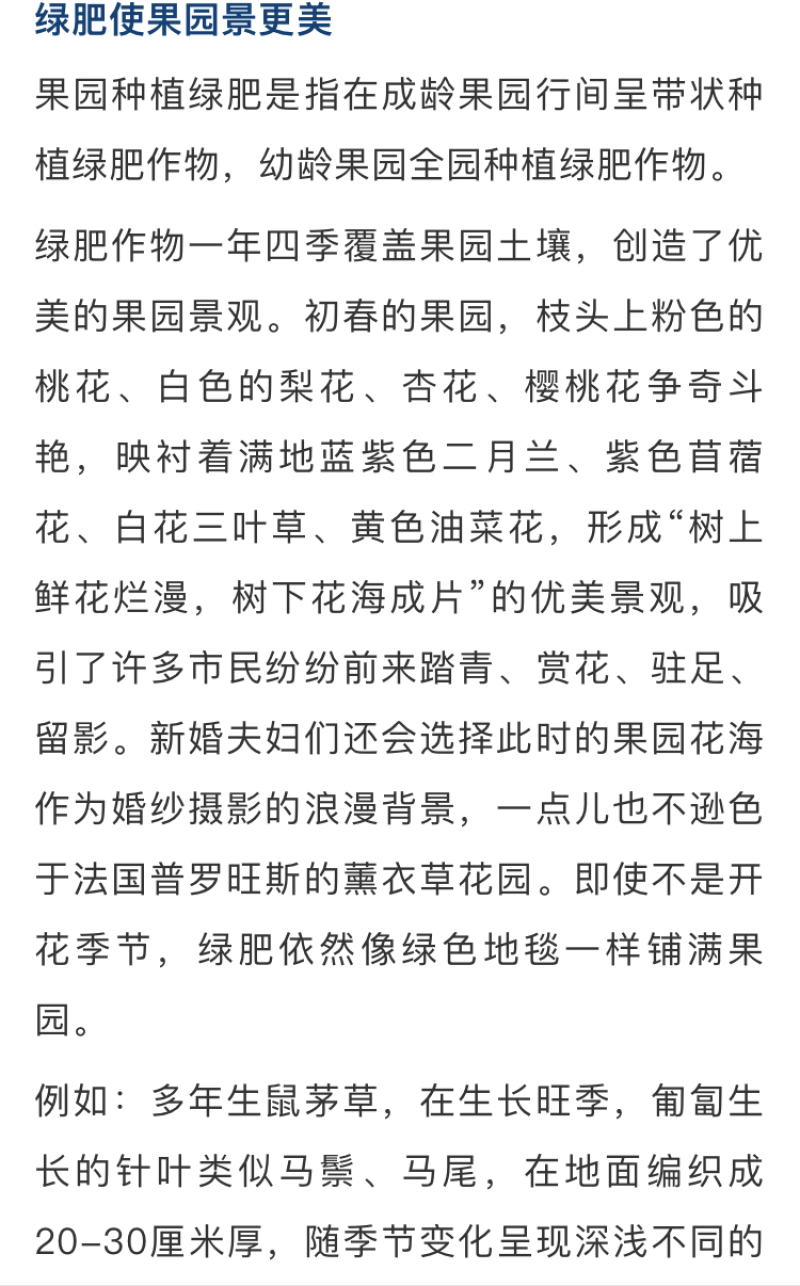 白三叶生长期长，适应性强，耐干旱，可观赏，可牧用