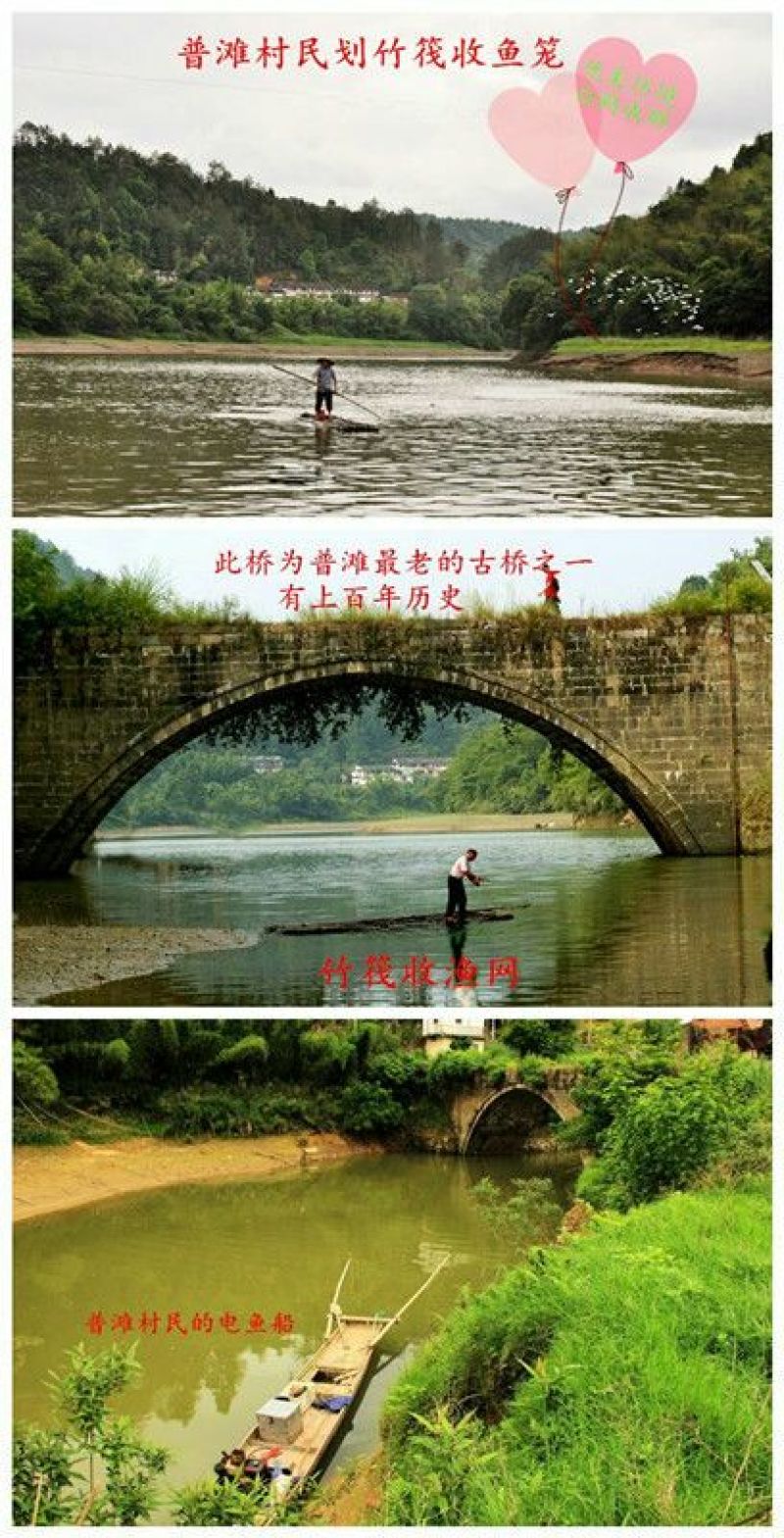 鱼干炸鱼干