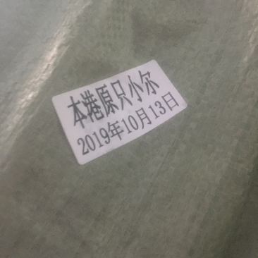 小鱿鱼。