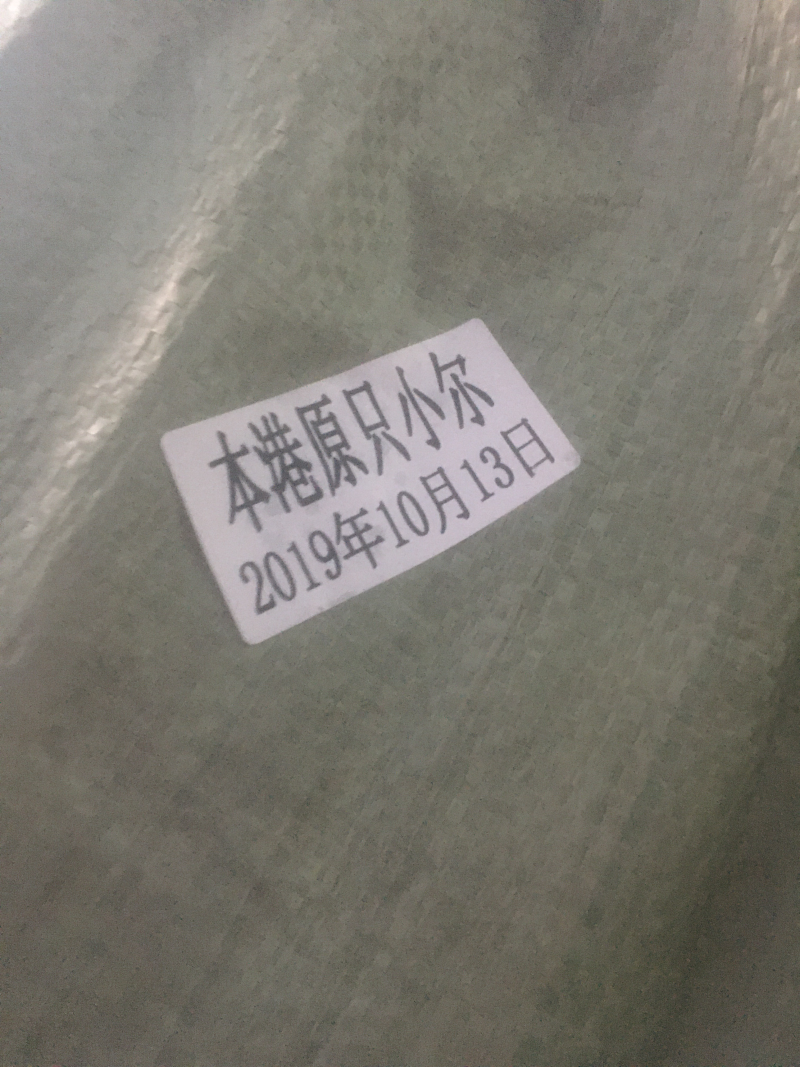 小鱿鱼。