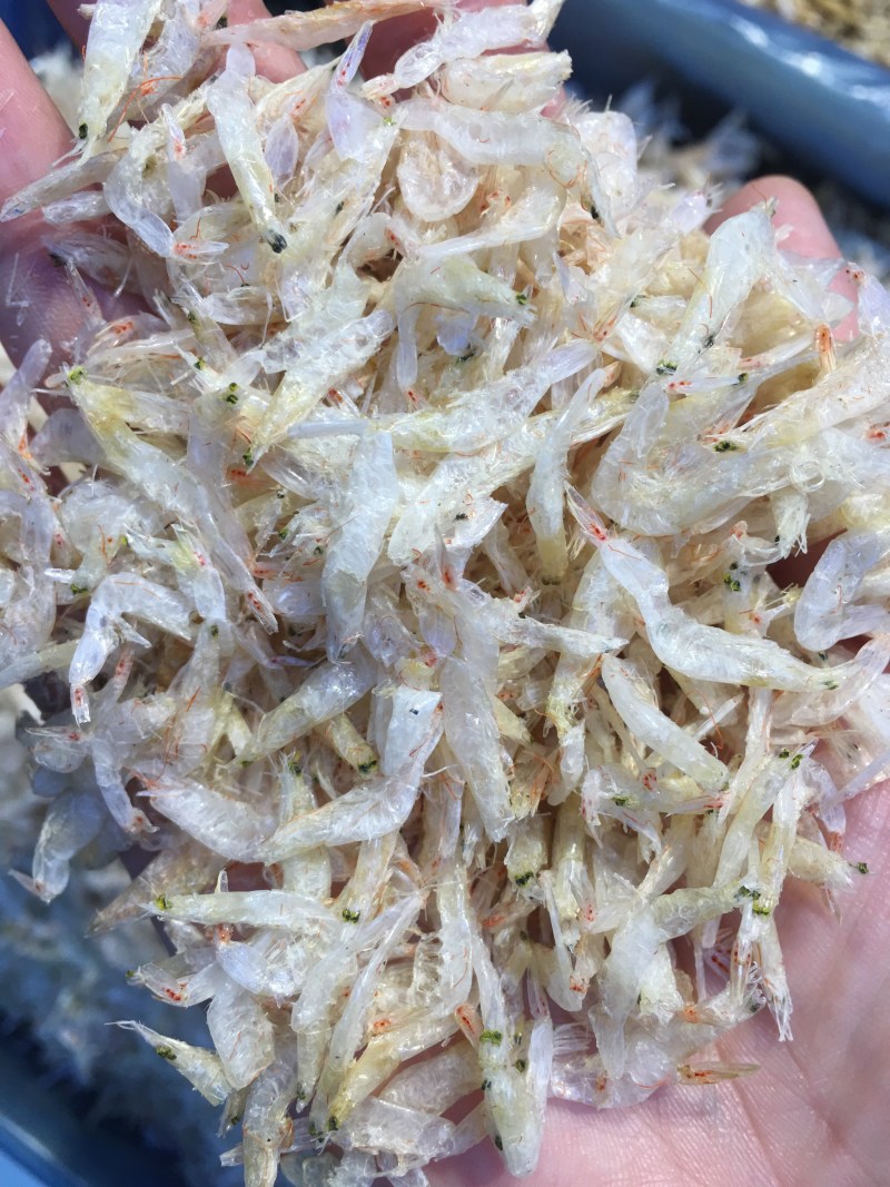虾皮