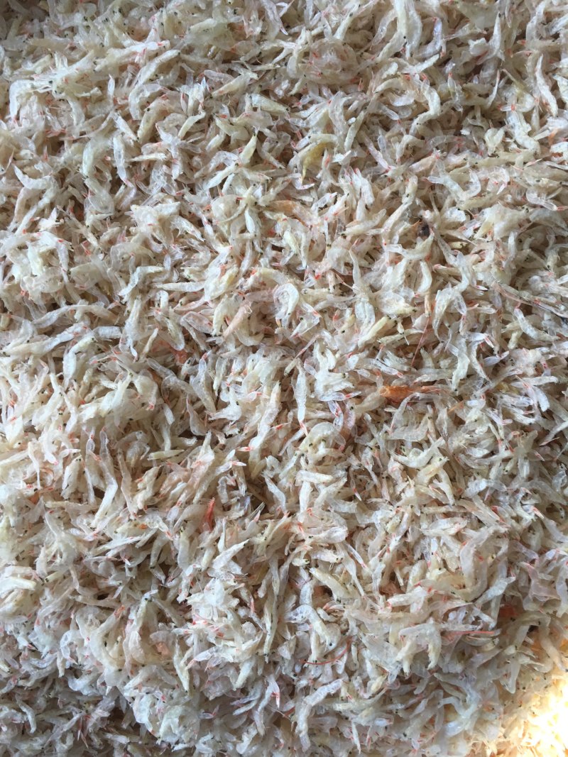 虾皮