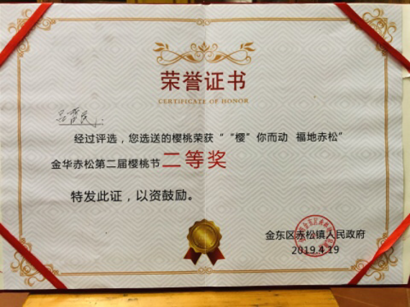 樱桃苗木、短柄樱桃苗、黑珍珠樱桃苗、红妃樱桃苗、各种规格发