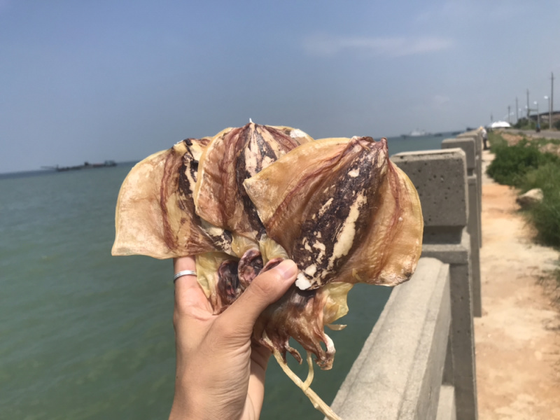 北海墨鱼干